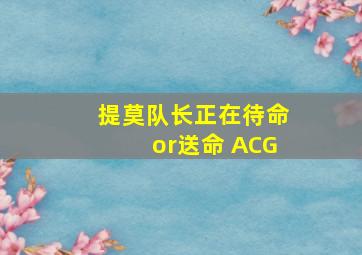 提莫队长正在待命or送命 ACG